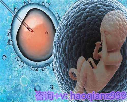 供卵代孕产子