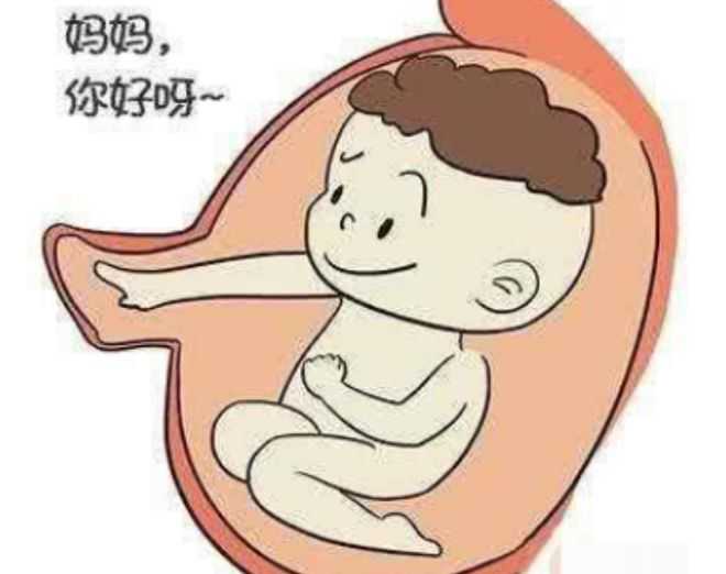上海供卵代孕电话