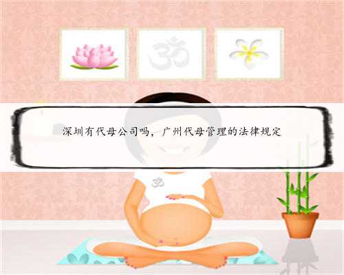 深圳有代母公司吗，广州代母管理的法律规定