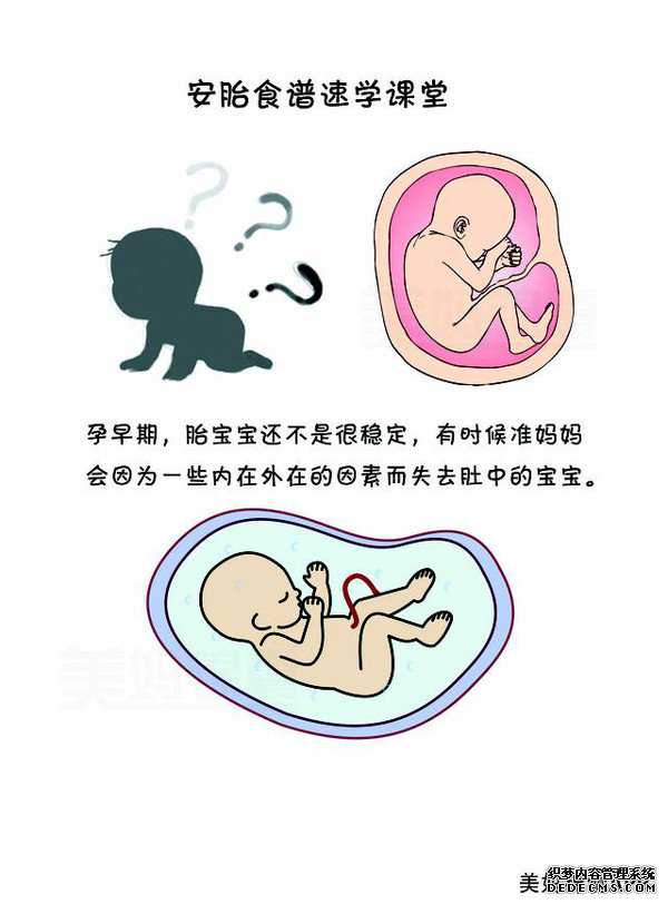 深圳助孕包成功男孩-深圳代孕黑市范围-深圳想帮别人助孕