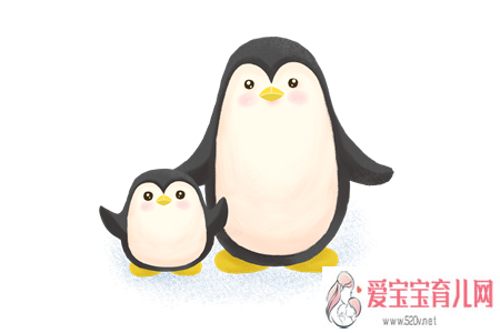 深圳高龄借卵子生子成功率，小企鹅和爸爸故事