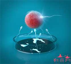 河南代生孩子电话,2022在郑州大学第一附属医院做三代试管婴儿流程是怎样的？