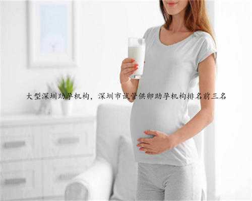 大型深圳助孕机构，深圳市试管供卵助孕机构排名前三名