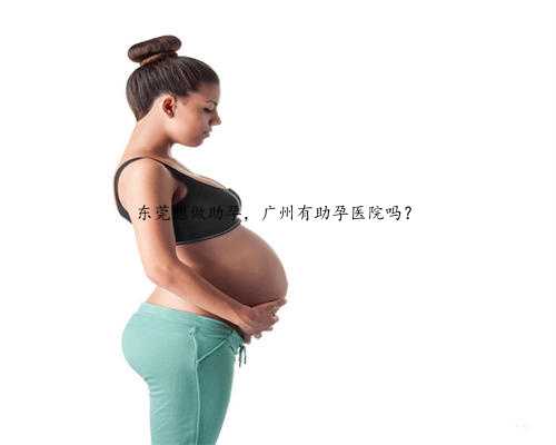 东莞想做助孕，广州有助孕医院吗？